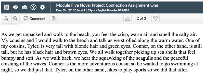 nicholas h writing sample 
